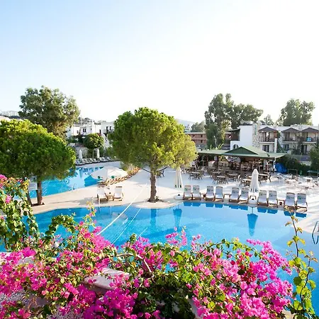 Szálloda Royal Palm Area Gümbet