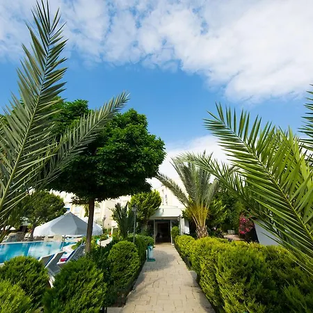Szálloda Royal Palm Area Gümbet
