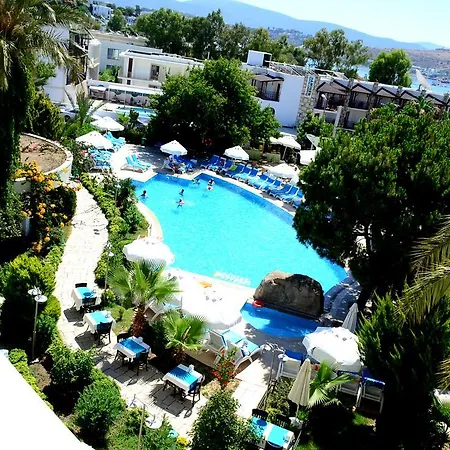 Resort Royal Palm Area