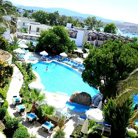 Resort Royal Palm Area