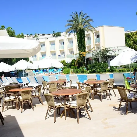 Szálloda Royal Palm Area 4*