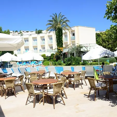 Szálloda Royal Palm Area 4*