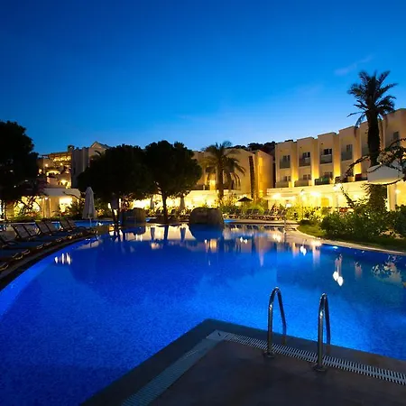 Resort Royal Palm Area