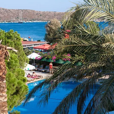 Resort Royal Palm Area