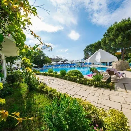 Szálloda Royal Palm Area Gümbet